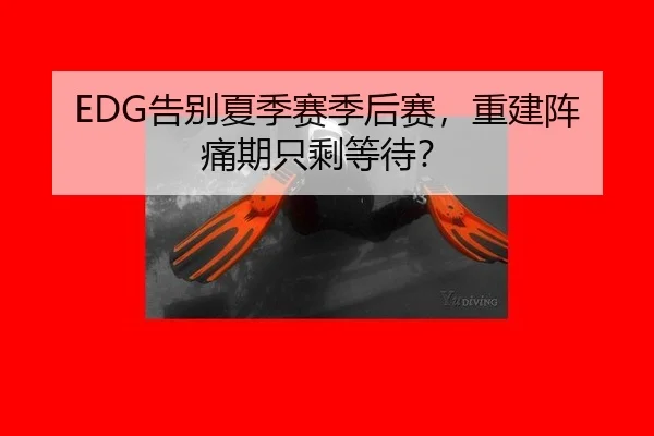 EDG告别夏季赛季后赛，重建阵痛期只剩等待？
